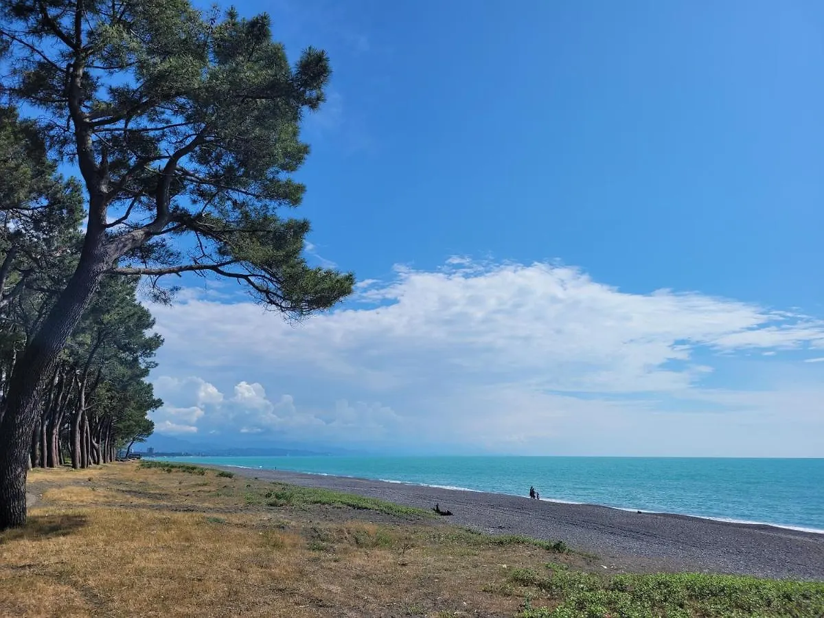 Cozy 2 Levels Apartment On The First Line To The Sea باتومي جورجيا